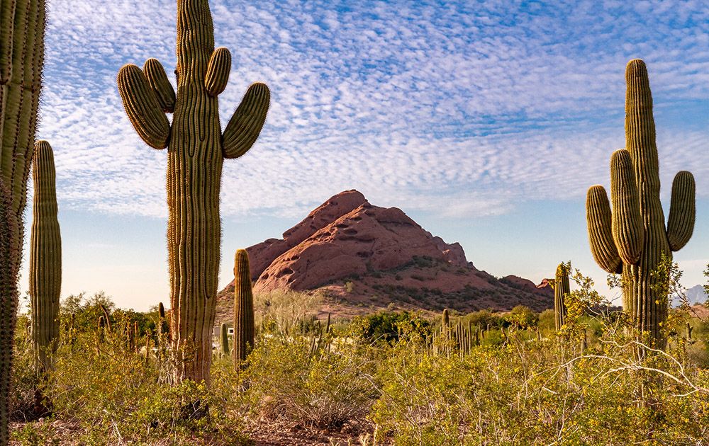 The Navajo room at HI Phoenix hostel, the Metcalf hostel, has one queen-sized bed and two twin-sized beds