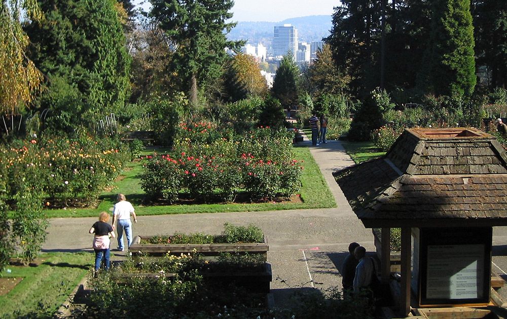 Portland Rose Garden