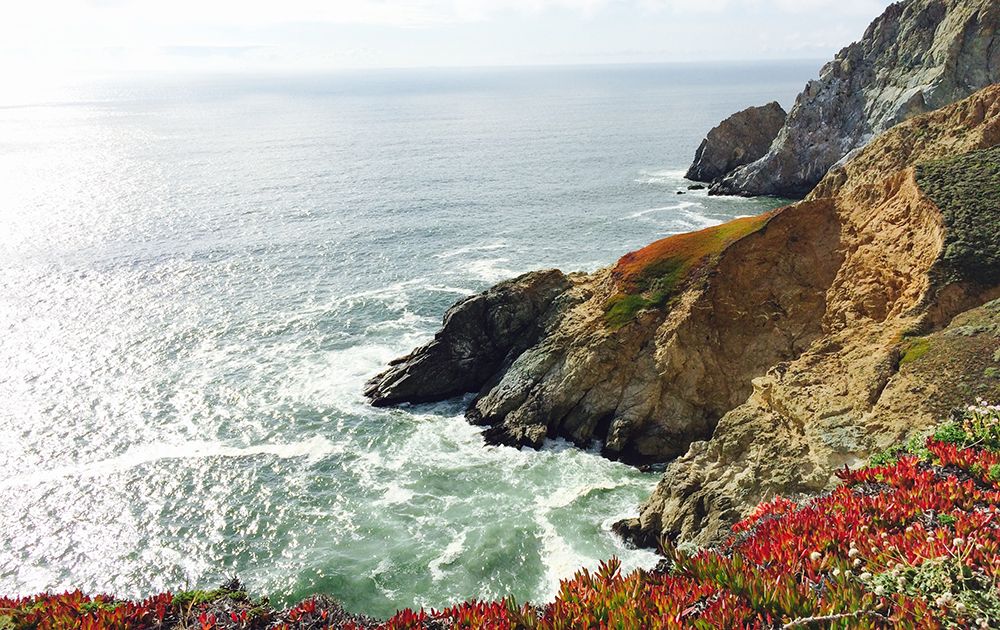 a large, brightly lit living room is available for guests of HI Point Montara Lighthouse hostel's Surfside House. The living room has a sectional sofa, armchair, and a view of the on-site garden.