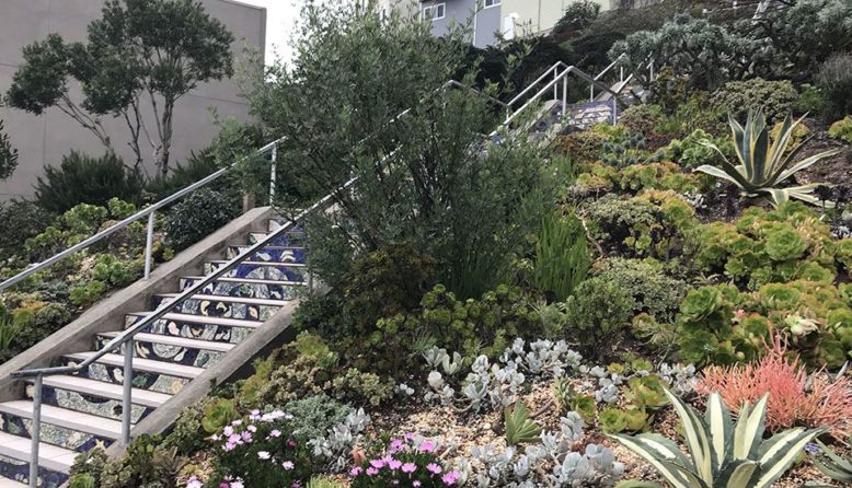 tiled stairway in San Francisco