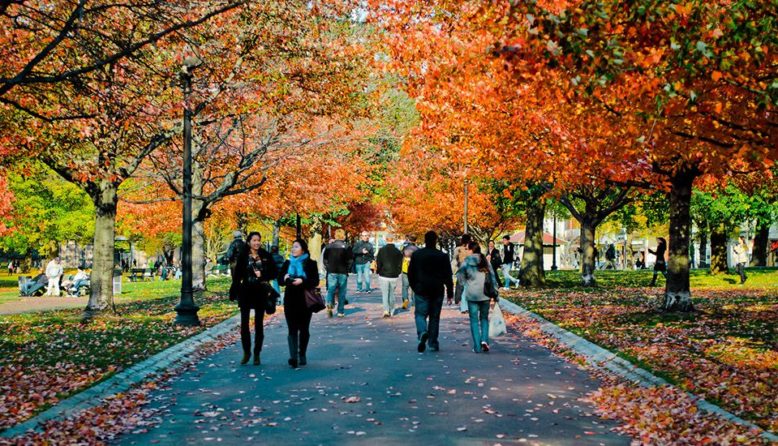 People walking in Boston Common in the fall