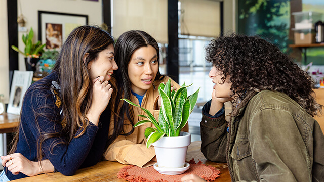 Three young travelers sit huddled around a wood table talking. There is a small potted green plant on the table between them.