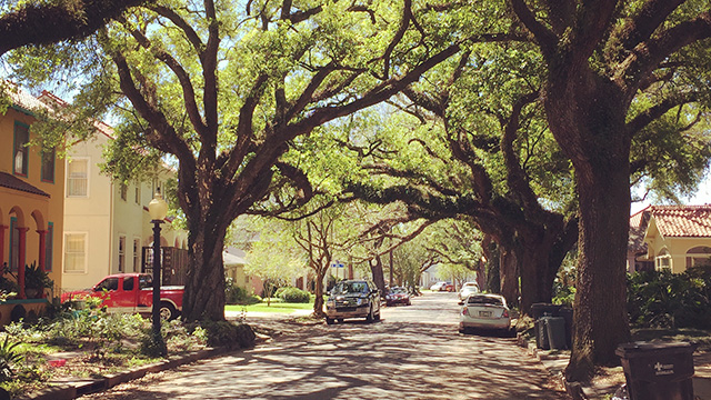 new orleans non tourist attractions