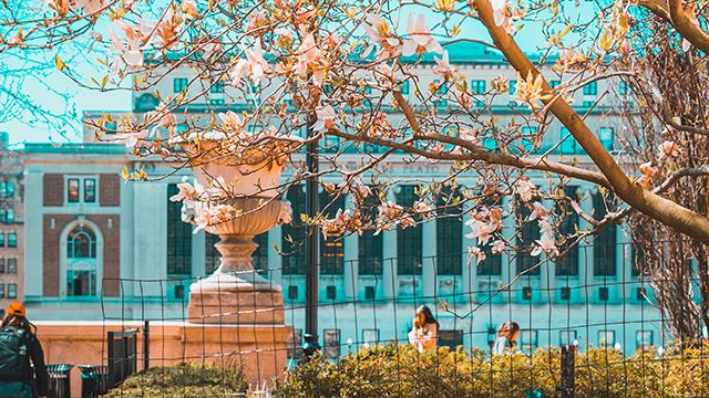 Columbia University in NYC