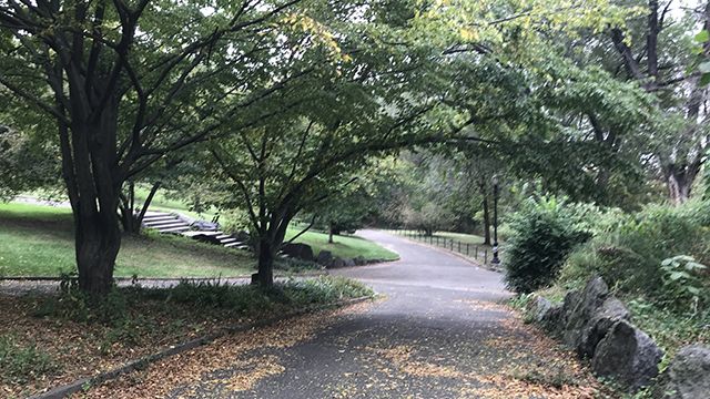 Morningside Park NYC