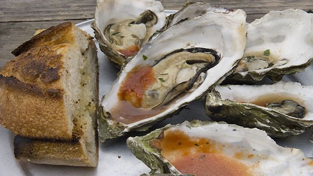 Oysters in Point Reyes