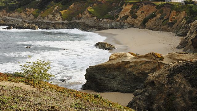 the beach a Point Montara