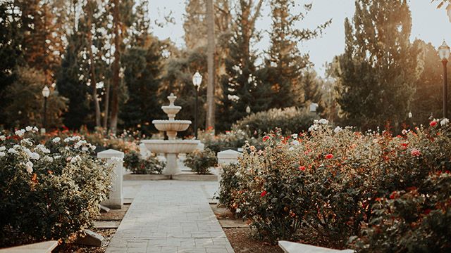 International World Peace Rose Garden in Sacramento