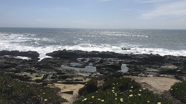 tidepools near Pigeon Point lighthouse