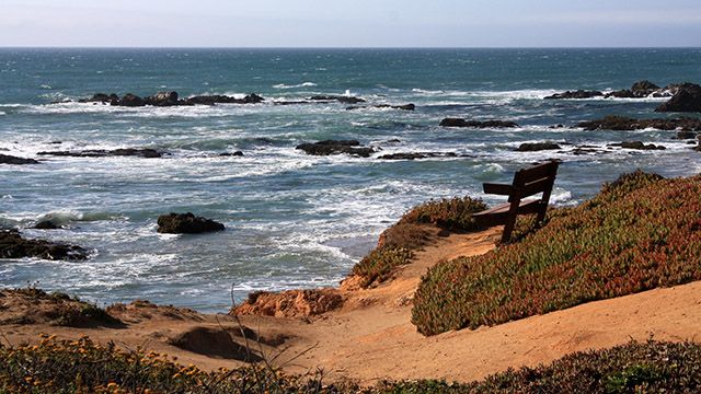 Bench overlooking the ocean at Pescadero Beach