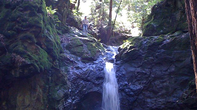 Man at Cascade Falls in Mill Valley