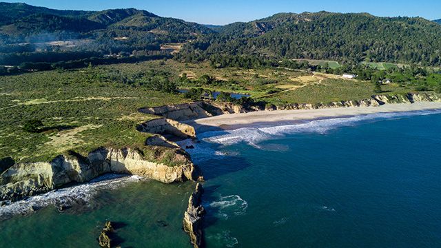 view of the water at Ano Nuevo state park