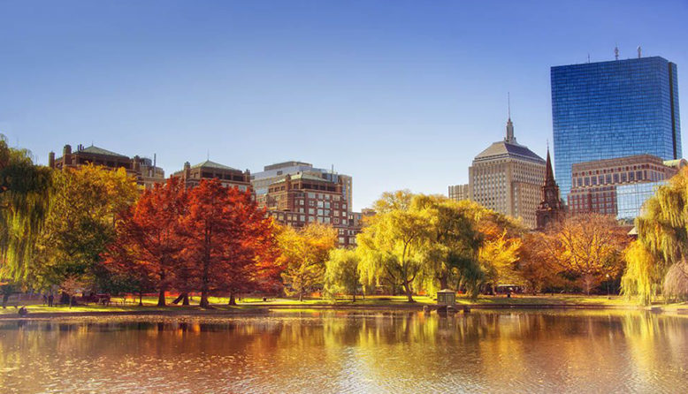 autumn leaves in Boston