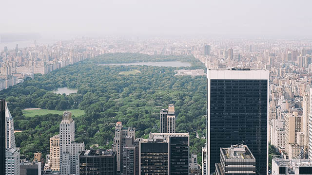 an aerial view of central park