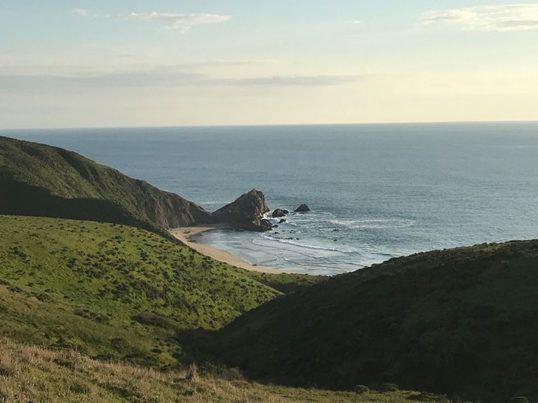 Tomales Point Trail in Point Reyes