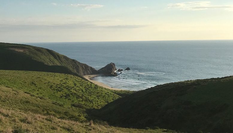 Tomales Point Trail in Point Reyes