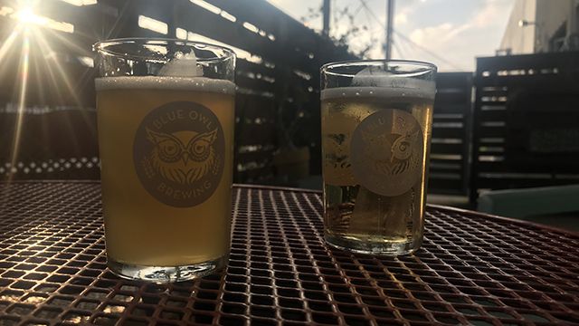 a tasting flight at blue owl brewery in austin