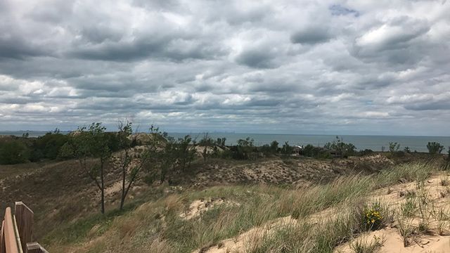 Indiana Dunes State Park