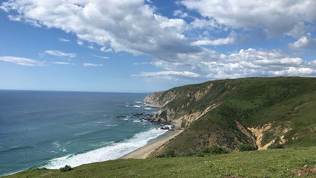 view from the tomales point trail in point reyes