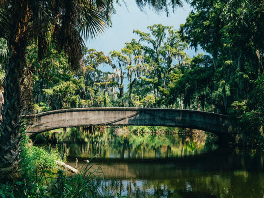view of a bridge in city park in New Orleans