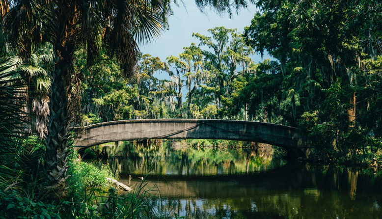 view of a bridge in city park in New Orleans
