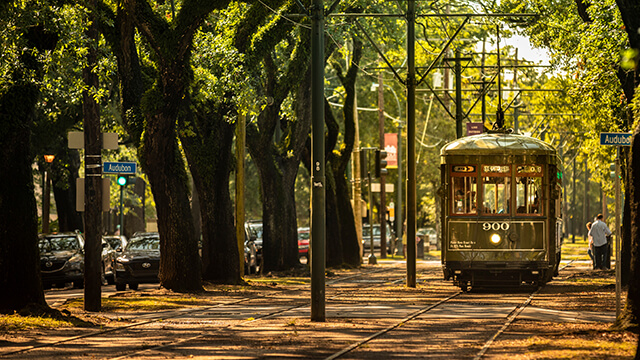 a green streetcar in new orleans goes through a natural tunnel of green trees