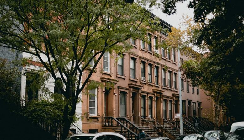 a row of brownstone houses in harlem with a tree in the foreground