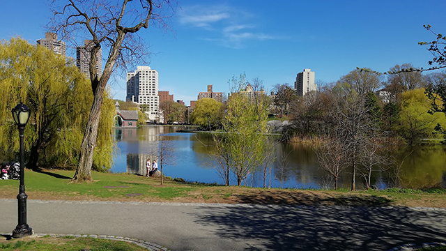 a calm blue pond with skyscrapers in the background