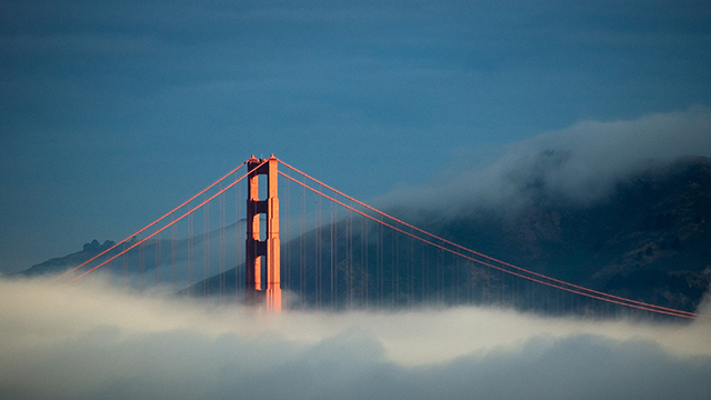 the golden gate bridge peeks out of a blanket of fog