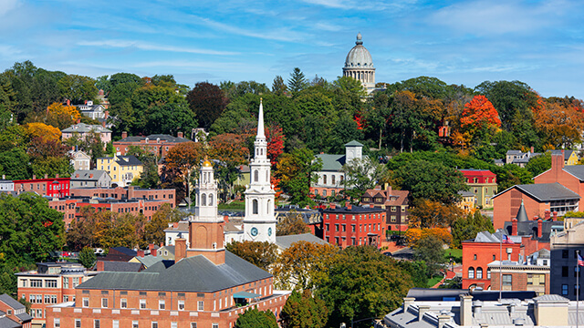 rooftops, steeples, and red brick buildings surrounded by leafy green trees in Providence, Rhode Island as seen from above