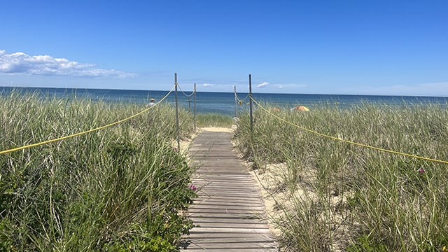 a wooden boardwalk path surrounded by beach grass leads to the blue ocean