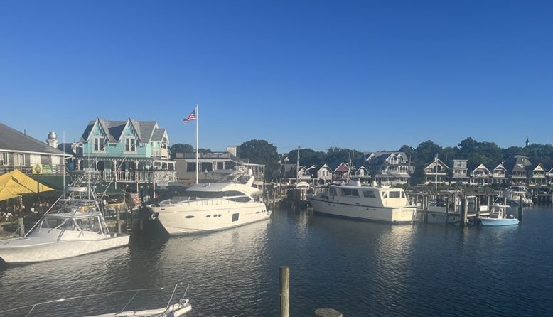 boats lining the harbor of martha's vineyard