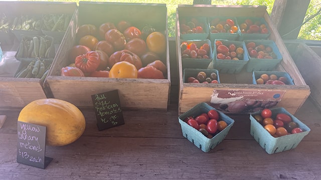a close up of produce at a farm stand including tomatoes, beans, and melons
