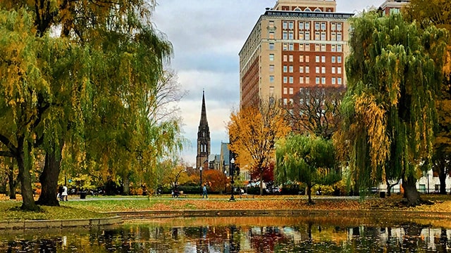 a pond in Boston Public Garden with fall leaves and an old steeple building reflected in it