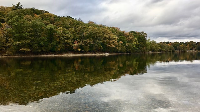 fall foliage reflected in the water of Jamaica Pond