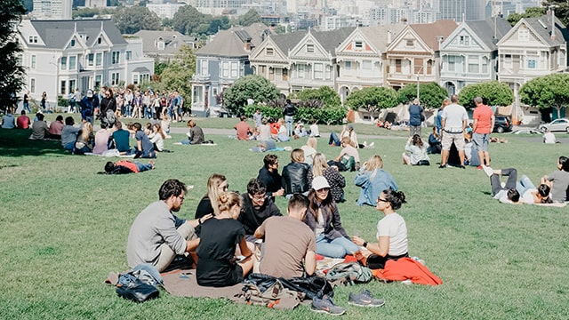 a group of people sit on a big lawn having a picnic in the sunshine