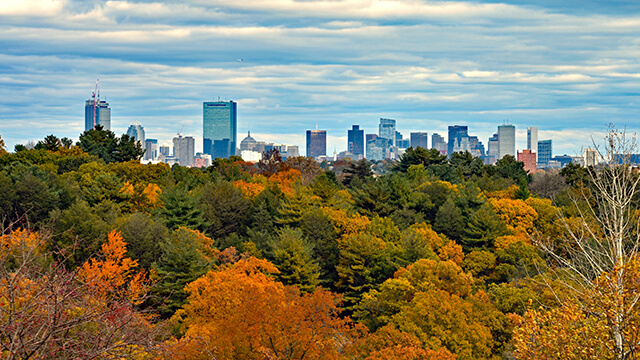 orange, yellow, and green autumn treetops looking over the Boston skyline at the Arnold Arboretum