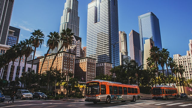 an orange bus drives by skyscrapers and palm trees