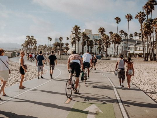 walkers and bicyclists on a paved path running along the beach with palm trees