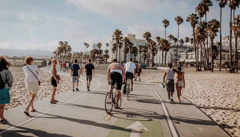 walkers and bicyclists on a paved path running along the beach with palm trees