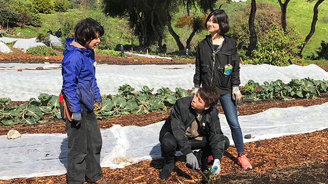 a group of young volunteers working in a garden