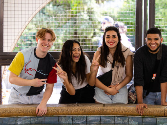 two young men and two young women participating in an international exchange stand smiling next to each other while interacting at an aquarium