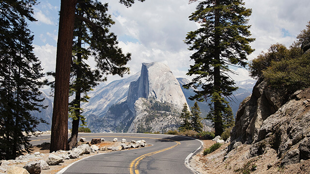 a road winds between two tall trees with a large grey rock face in the background