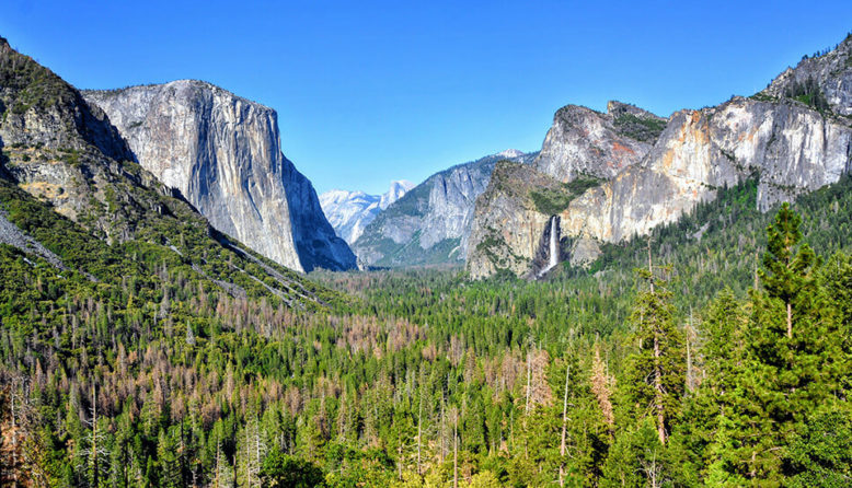 a view of yosemite national park with green trees, grey rock faces, and a blue sky
