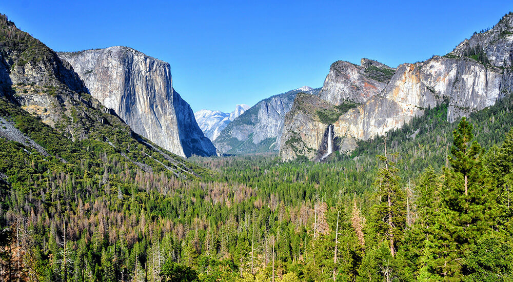Can I Do a Day Trip from SF to Yosemite? Without a Car? HI USA