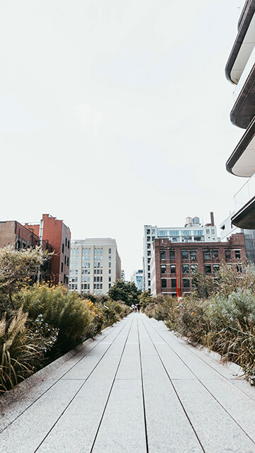 a boardwalk with plants on either side and tall buildings in the background