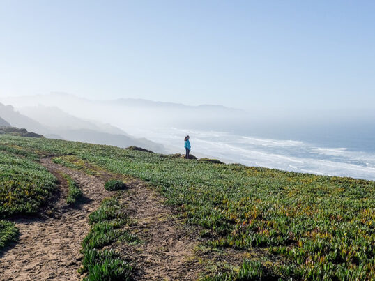 a figure is seen in the distance standing on a bluff covered in green, looking out at the ocean in San Francisco.