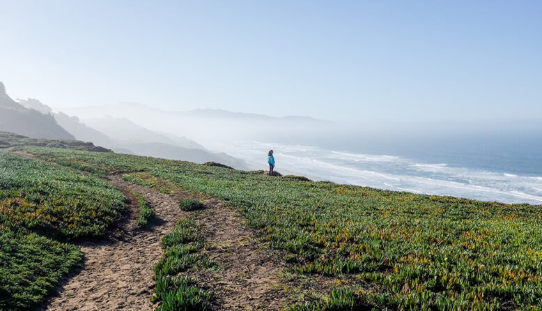 a figure is seen in the distance standing on a bluff covered in green, looking out at the ocean in San Francisco.