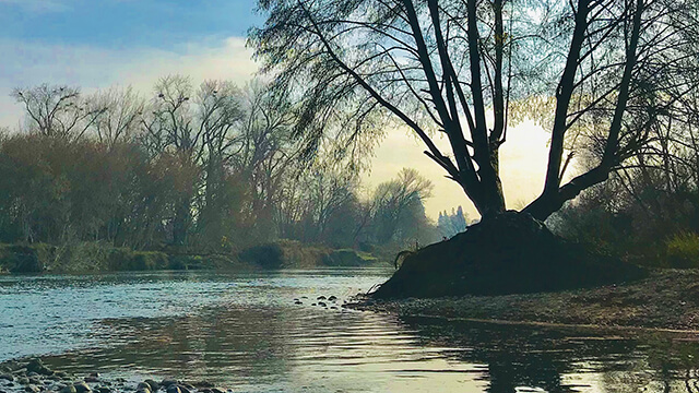 The American River Parkway in Sacramento 