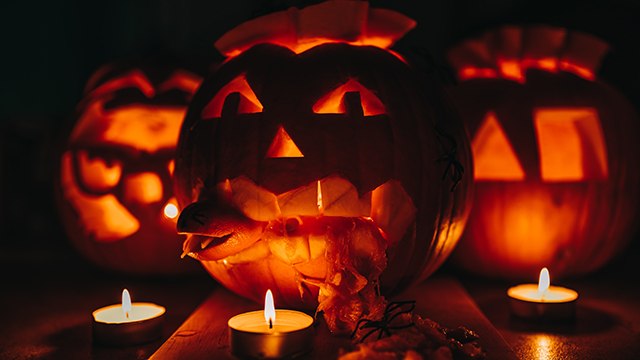 a row of jack o lanterns